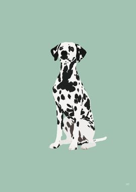 Dalmatian Dog Illustration