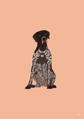 German Shorthaired Pointer