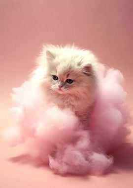 Candyfloss Kitten