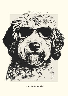 Goldendoodle Illustration