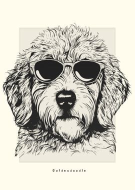 Goldendoodle Illustration