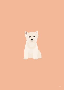 West Highland WhiteTerrier