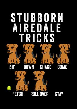 Airedale Terrier Tricks