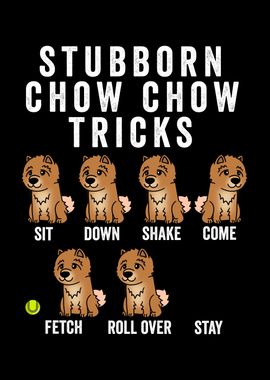 Stubborn Chow Chow Tricks 