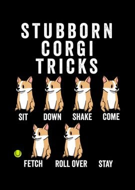 Stubborn Corgi Tricks 