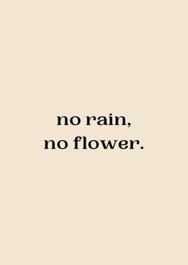 NO RAIN NO FLOWER