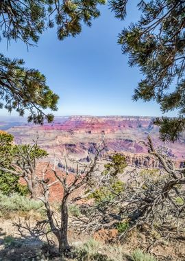 GRAND CANYON Lovely View