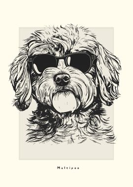 Maltipoo IIlustration