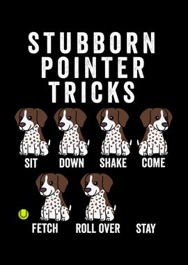 Stubborn Pointer Tricks