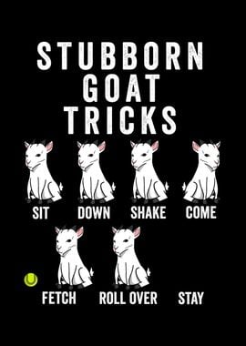 Stubborn Goat Tricks 