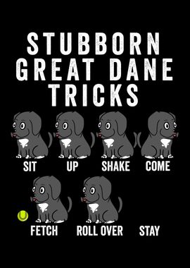 Great Dane Tricks