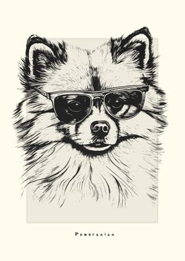 Pomeranian IIIustration