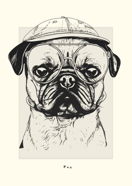 Pug Illustration