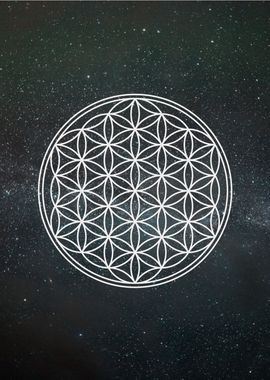 Flower of Life over space