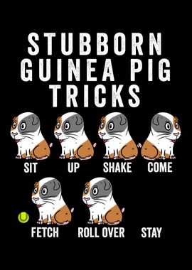 Guinea Pig Tricks