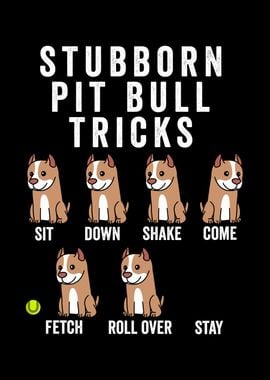 Stubborn Pit Bull Tricks 