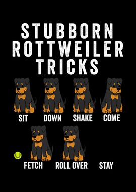 Rottweiler Tricks