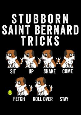 Saint Bernard Tricks