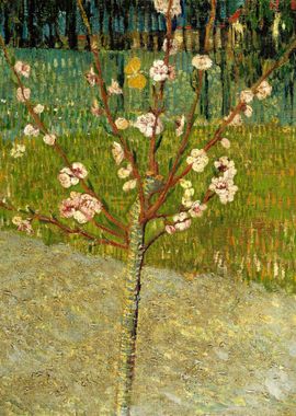 Peach tree in blossom Gogh