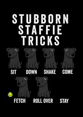 Stubborn Staffie Tricks