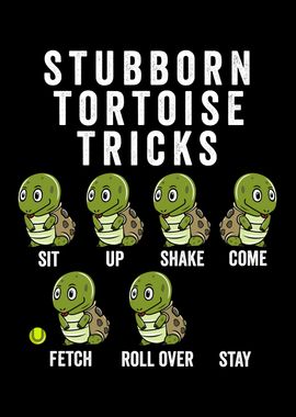 Stubborn Tortoise Tricks 