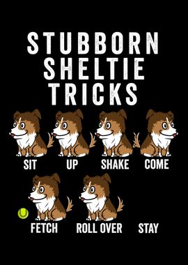 Stubborn Sheltie Tricks