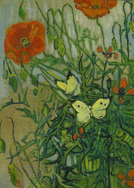 Butterflies and poppies