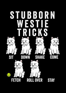 Stubborn Westie Tricks 