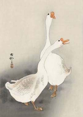 Two geese Ohara Koson