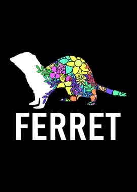 Ferret Animal