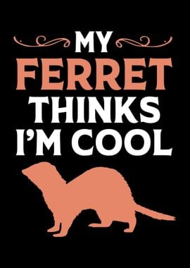 My Ferret Thinks Im Cool