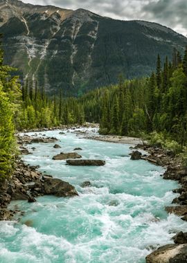 Waterfall in Forest Nature