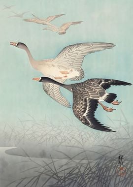 Ukiyo e Great geese