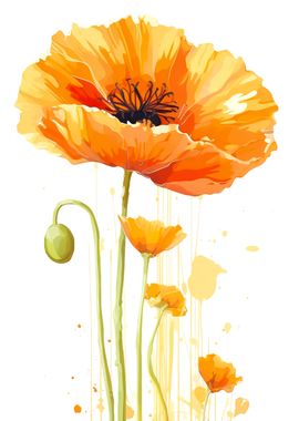 Poppy Flower