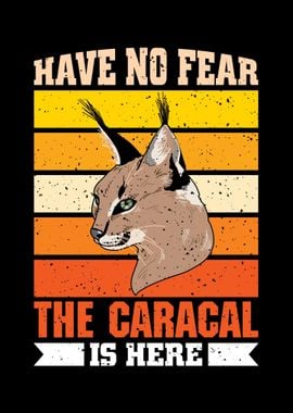 Caracal