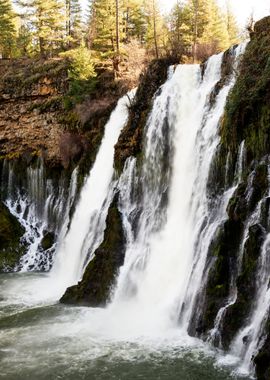 Waterfall in the Forest