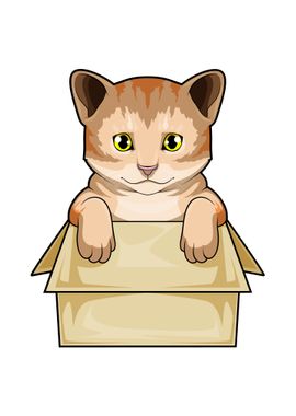 Cat Box