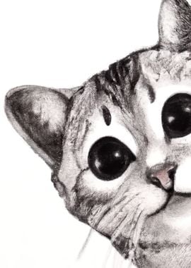 Cute Cat Drawing