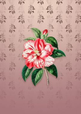 Vintage Japanese Camelia