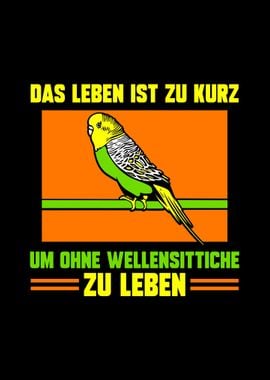 German Budgie