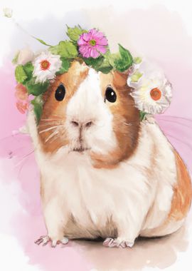 Colorful Guinea Pig