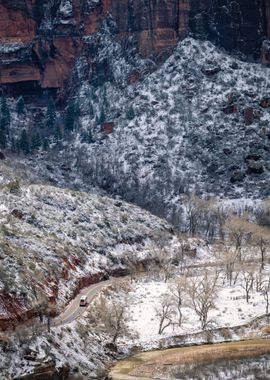 Touring Zion