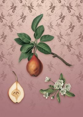 Vintage Pear on Dusty Pink