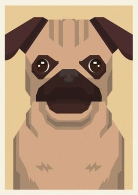 Pug