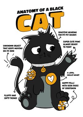 Black Cat Anatomy