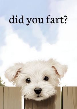 Did you fart