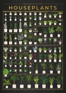 Gold Houseplants Chart