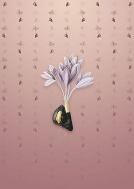 Vintage Autumn Crocus