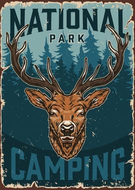 National Park Camping Deer