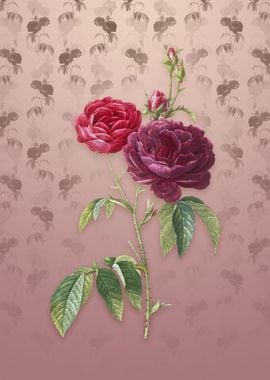 Vintage Purple Roses